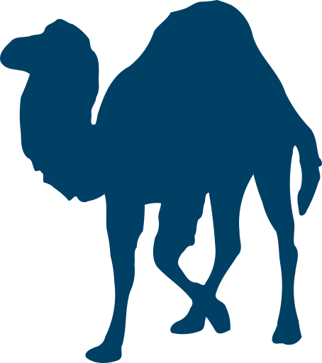 perl-programming-language-icon.png
